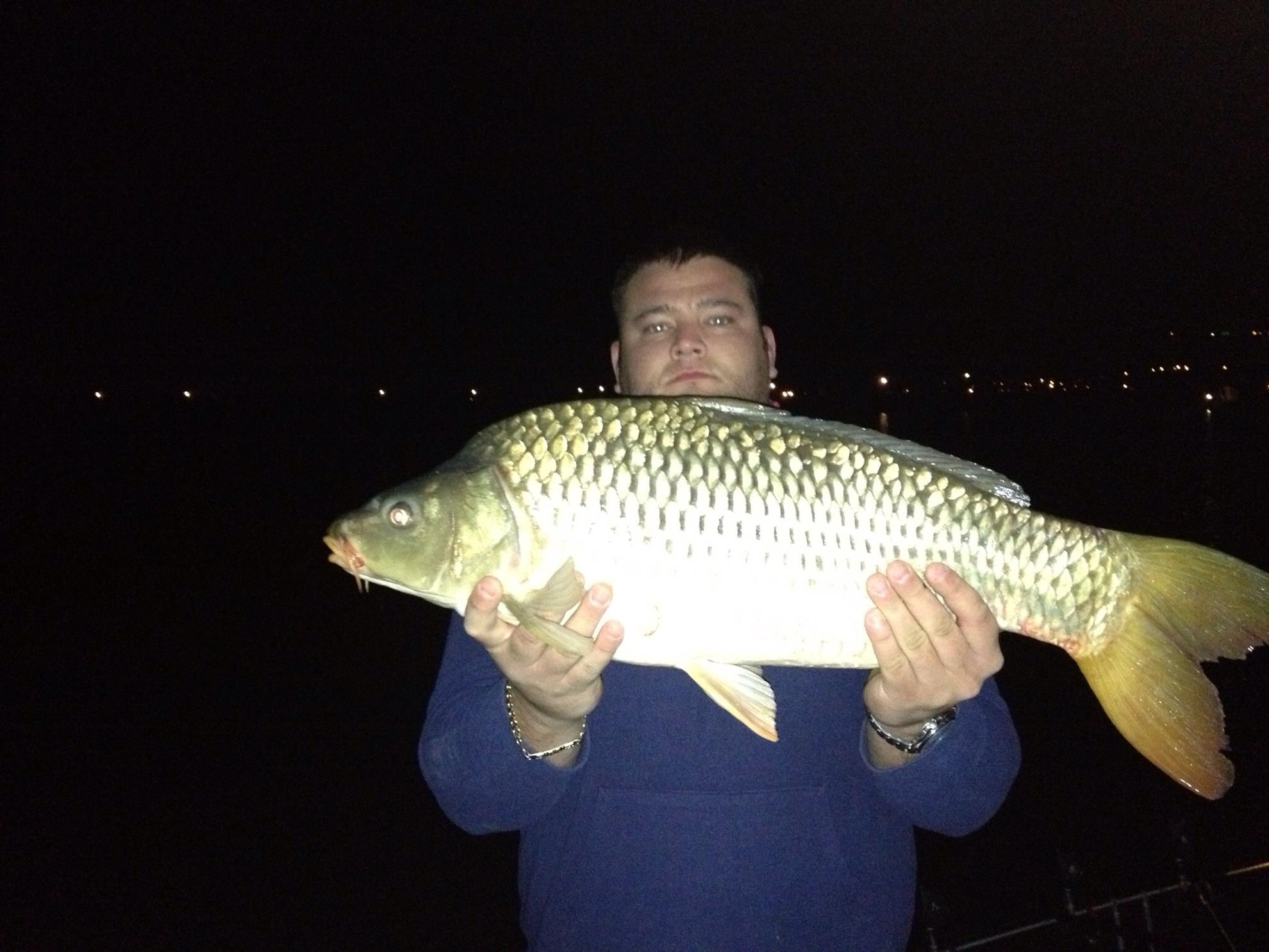 Pleasa 2013 - image1111111.jpg